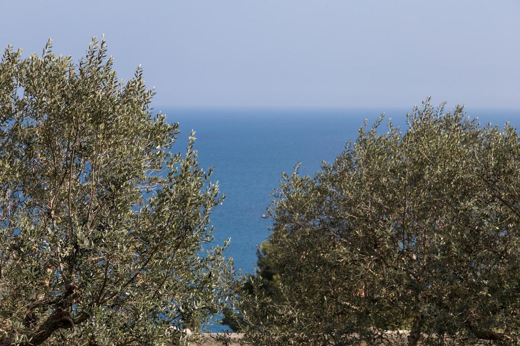 Villa La Ripostiera By Barbarhouse Castro (Lecce)